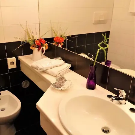 Отель Hotel Dozza 3*